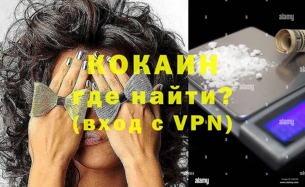 PSILOCYBIN Вяземский