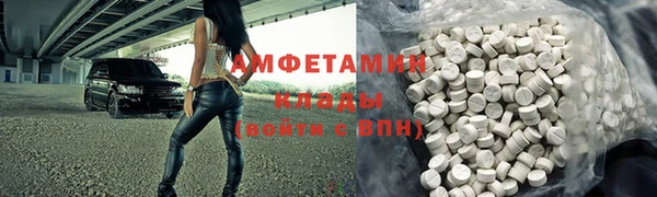 PSILOCYBIN Вяземский