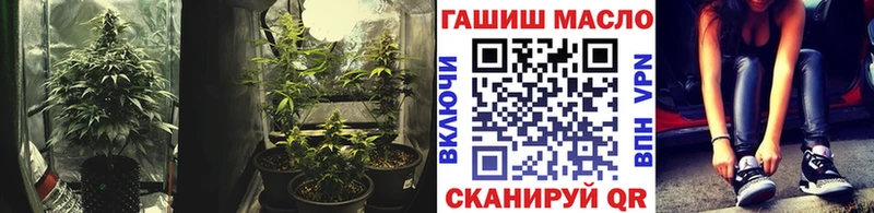 Купить закладки  Дагестанские Огни  ТГК гашишное масло 
